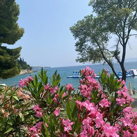 Ramy ツリクヴェニツァ