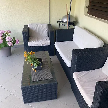 Ramy ツリクヴェニツァ