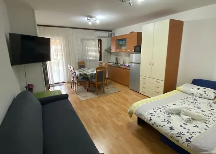 Ramy 茨里克韦尼察