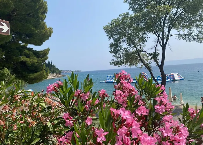 Ramy 茨里克韦尼察